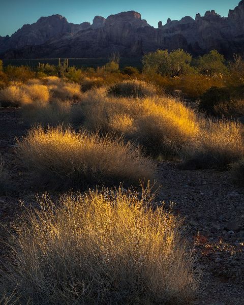 Jaynes Gallery 아티스트의 USA-Arizona-Kofa National Wildlife Area-Mountain and desert landscape at sunrise작품입니다.